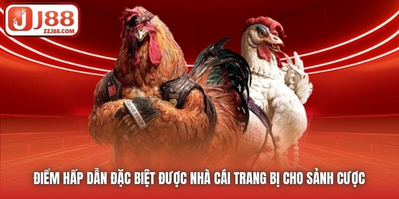 Điểm hấp dẫn đặc biệt được nhà cái trang bị cho sảnh cược
