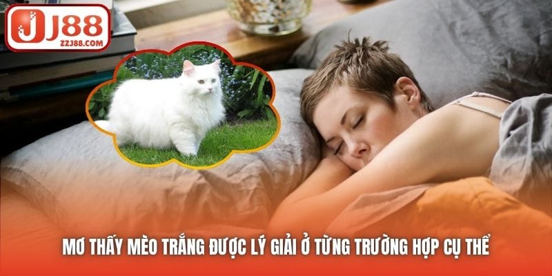 Mơ thấy mèo trắng được lý giải ở từng trường hợp cụ thể 