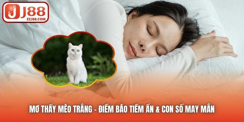 Mơ Thấy Mèo Trắng | Điềm Báo Tiềm Ẩn & Con Số May Mắn