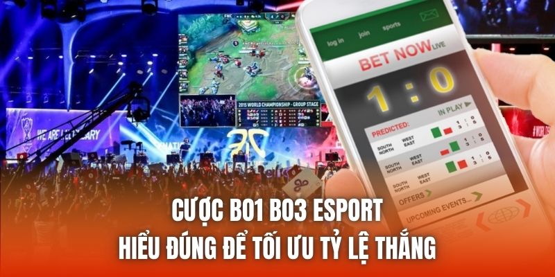 Cược Bo1 Bo3 Esport - Hiểu Đúng Để Tối Ưu Tỷ Lệ Thắng