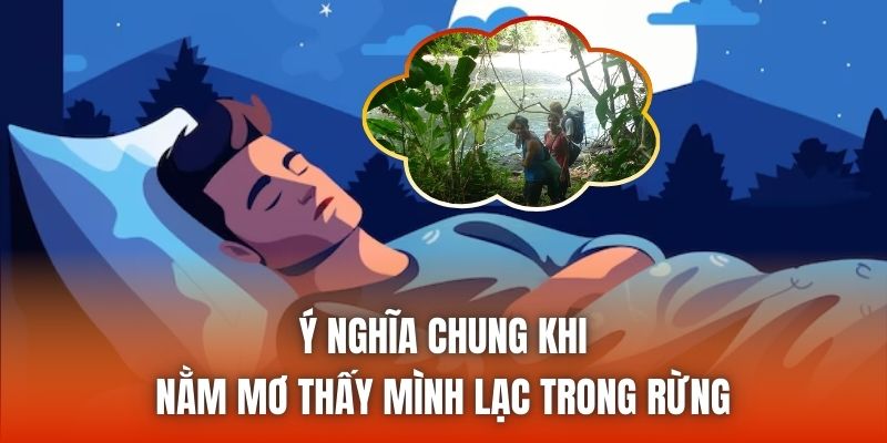 Ý nghĩa chung khi nằm mơ thấy mình lạc trong rừng