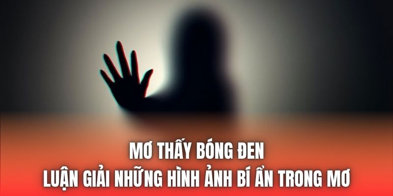 Mơ Thấy Bóng Đen - Luận Giải Những Hình Ảnh Bí Ẩn Trong Mơ
